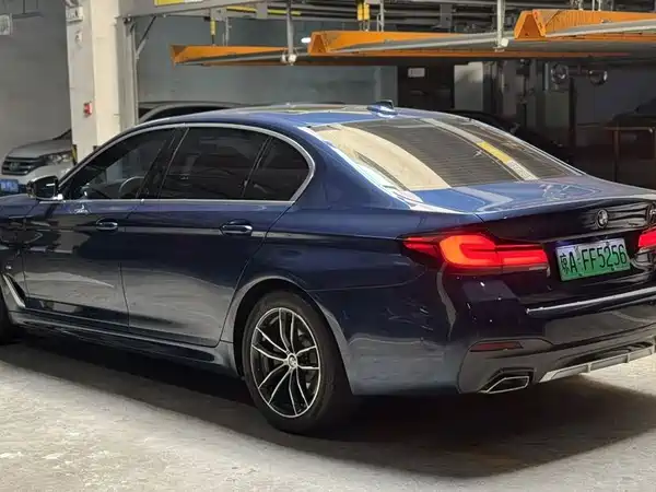 BMW 5 Series New Energy 2020