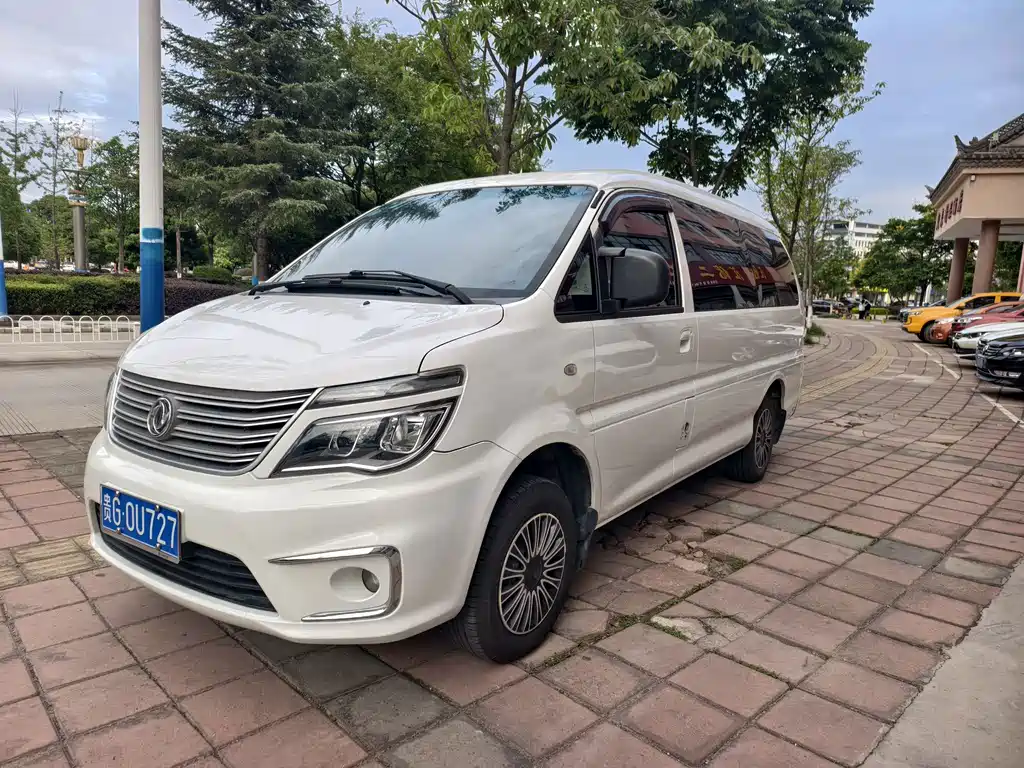 Dongfeng Lingzhi 2019