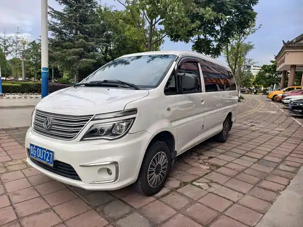 Dongfeng Lingzhi 2019