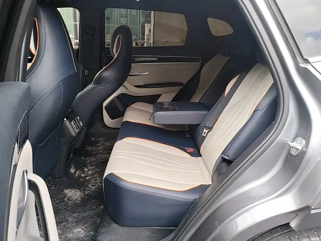 BYD Song PLUS New Energy 2022 — фото 17