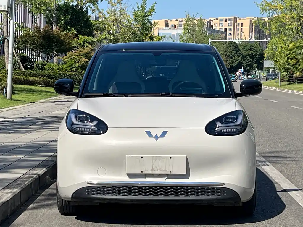 Wuling Bingo 2025