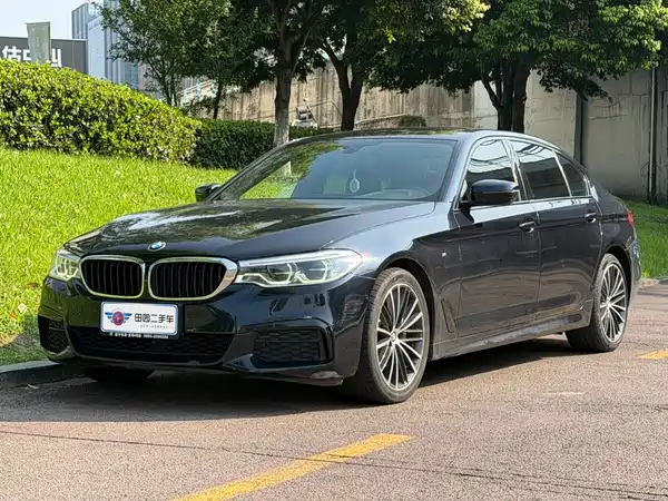 BMW 5 Series 2019