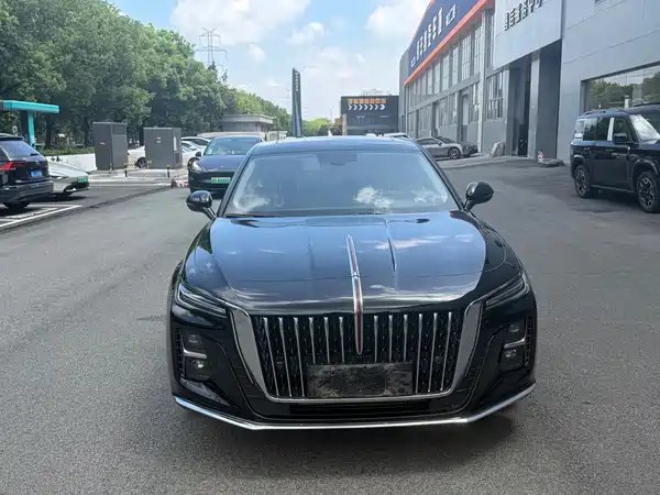 Hongqi H5 2024
