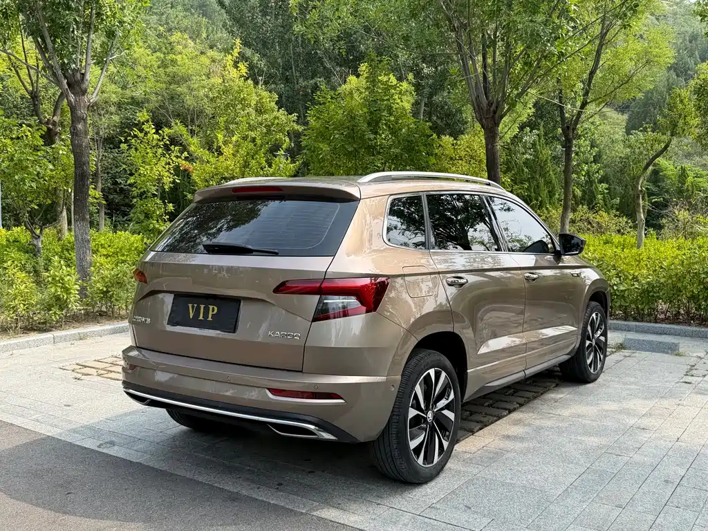 Skoda Karoq 2023 — фото 13