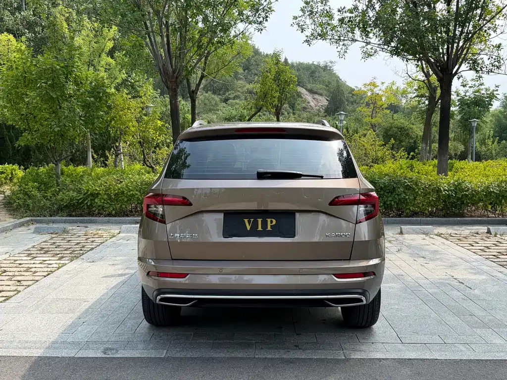 Skoda Karoq 2023 — фото 14