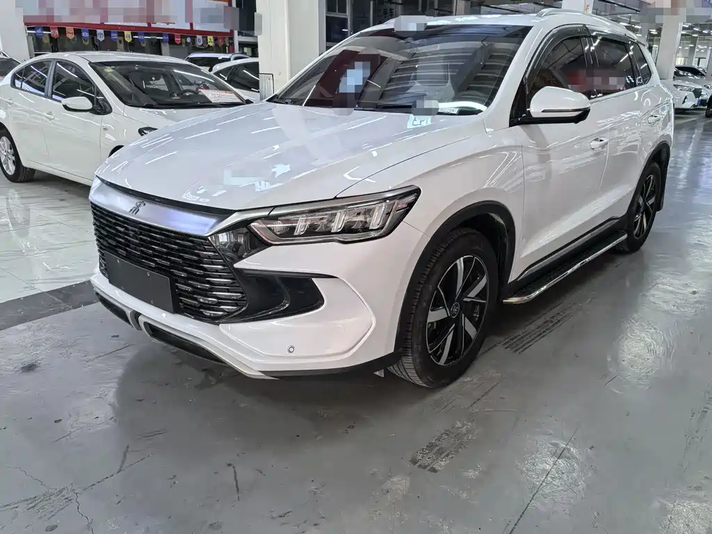 BYD Pro New Energy 2024 — фото 1