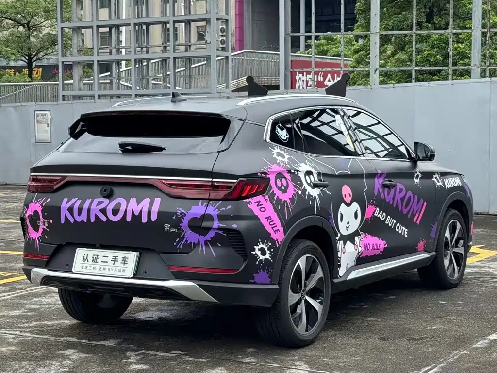 BYD Song PLUS New Energy 2022 — фото 9