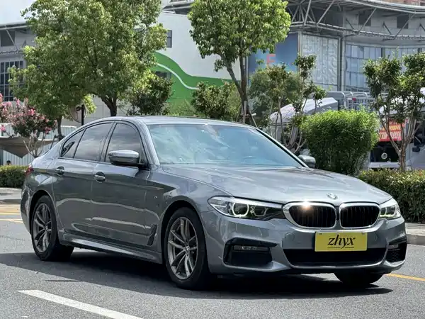 BMW 5 Series 2019