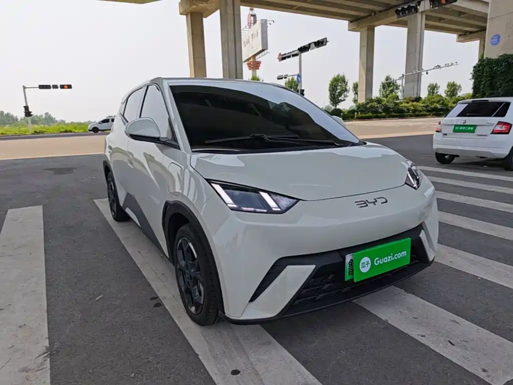 BYD Seagull 2025