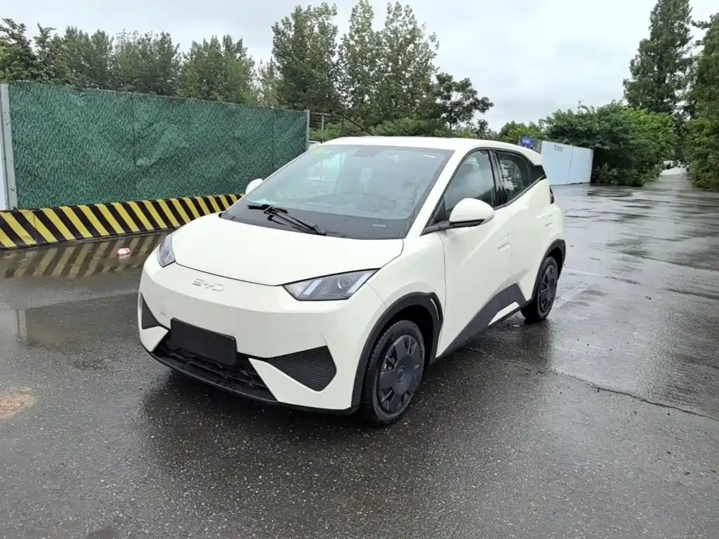 BYD Seagull 2026