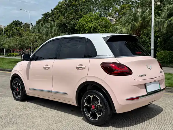 Wuling Bingo 2024