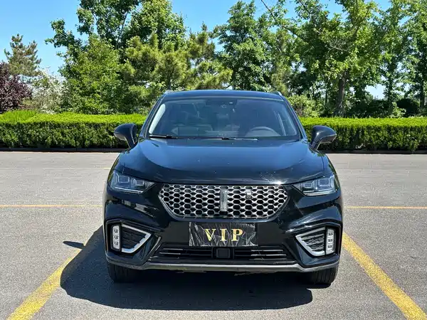 Wey VV5 2021