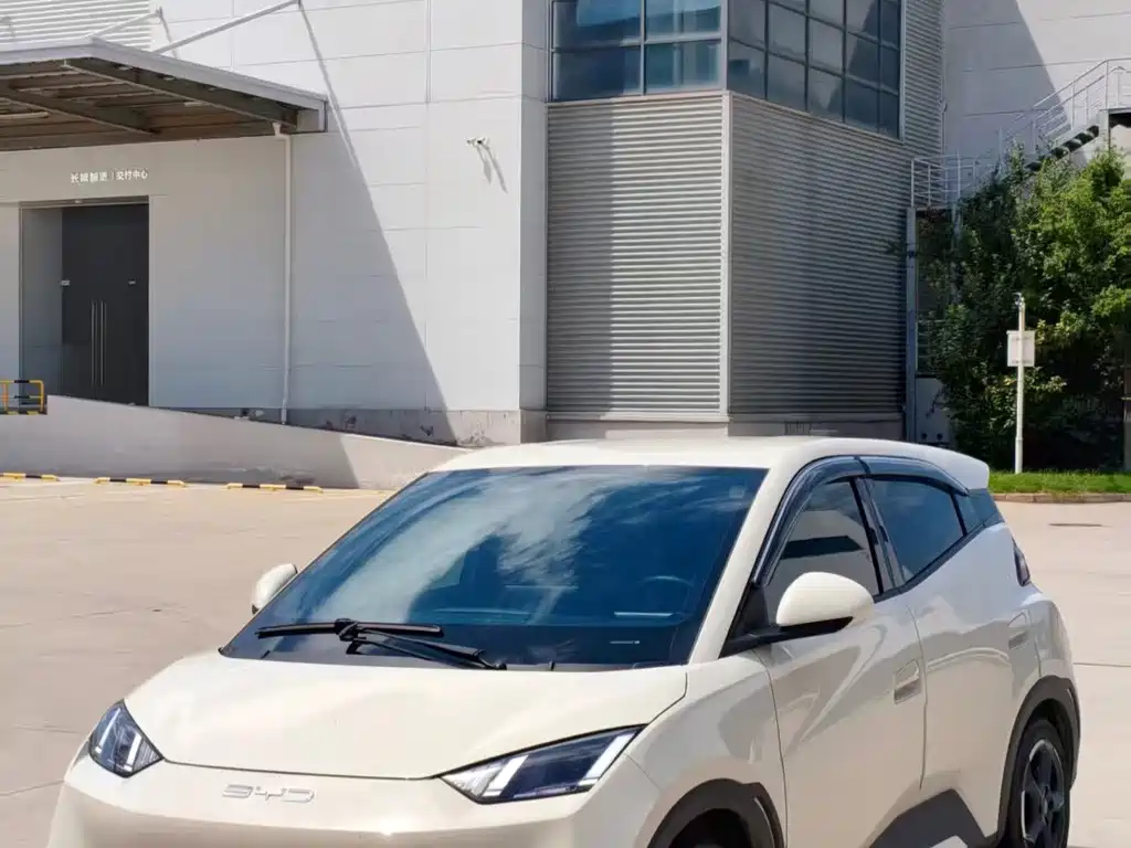 BYD Seagull 2024