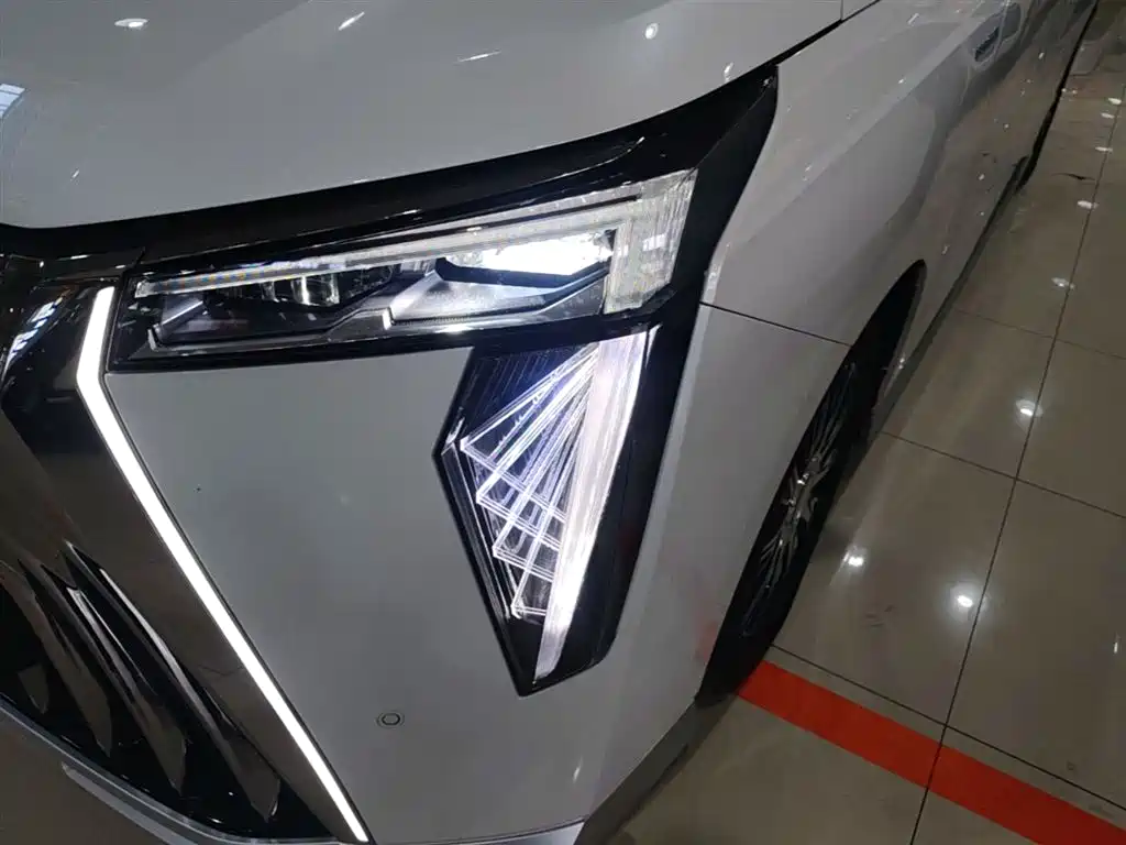 GAC Motor Trumpchi E9 2024 — фото 24