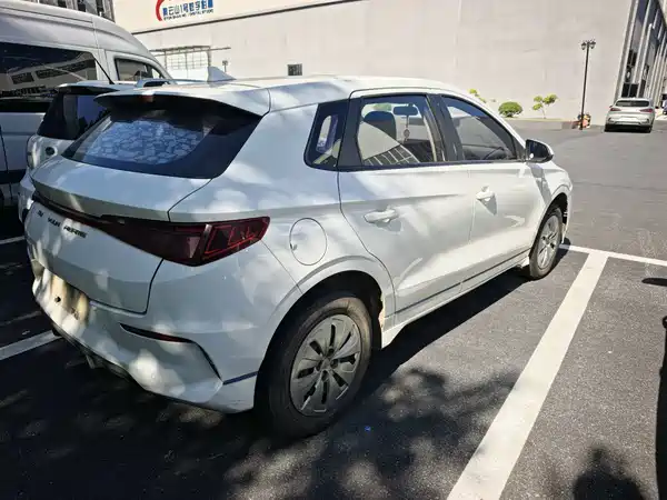 BYD e2 2021
