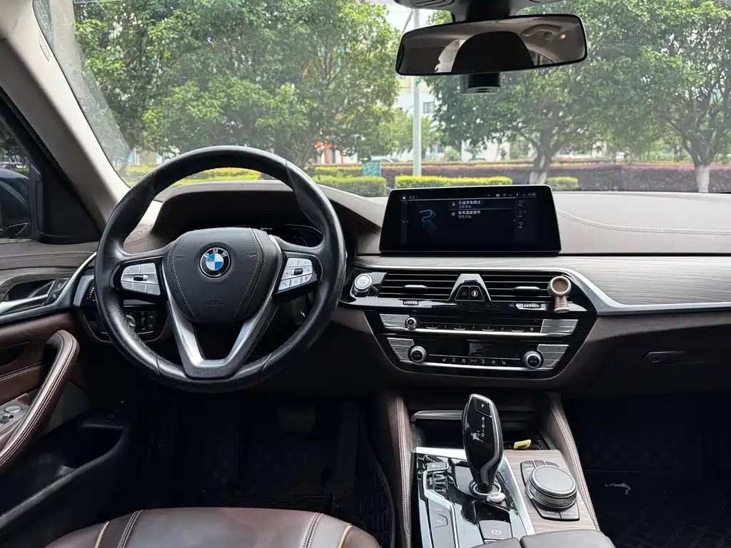 BMW 5 Series New Energy 2020 — фото 21