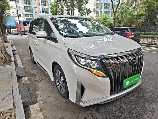 GAC Trumpchi M8 2020