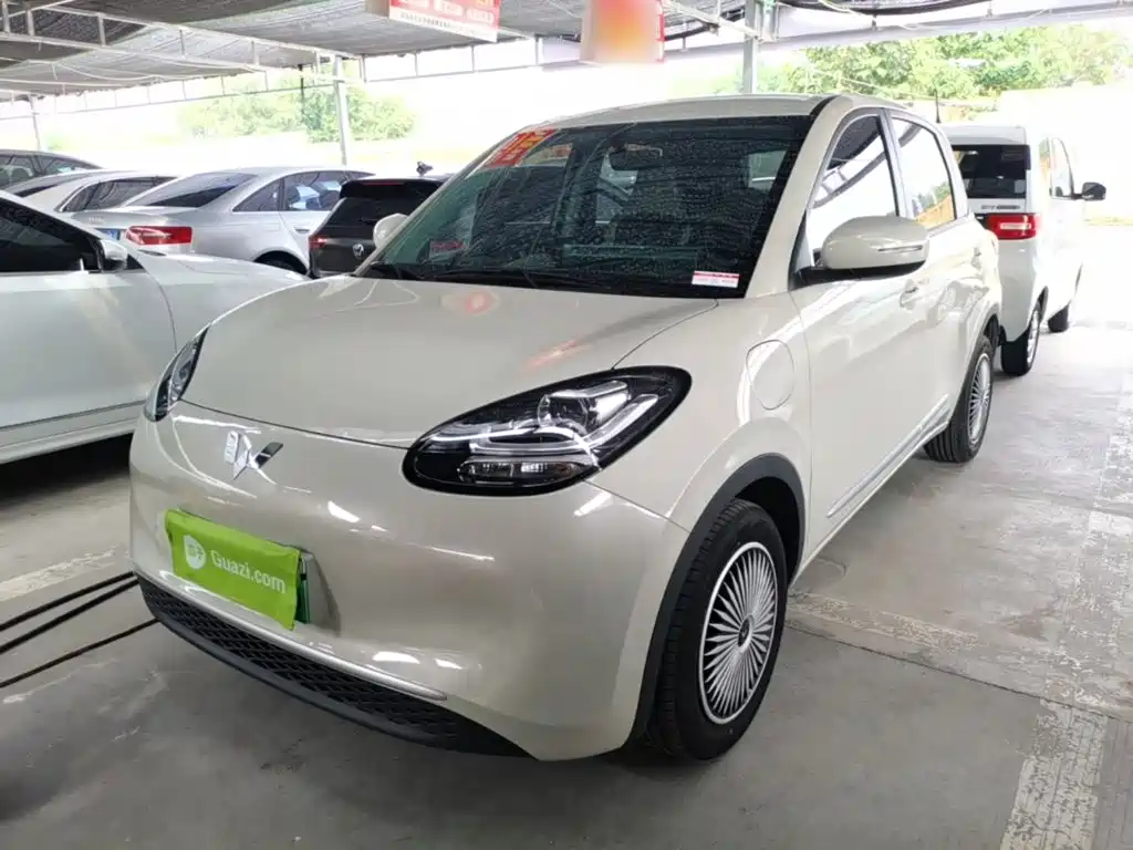 Wuling Bingo 2024