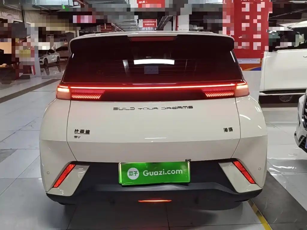 BYD Seagull 2024