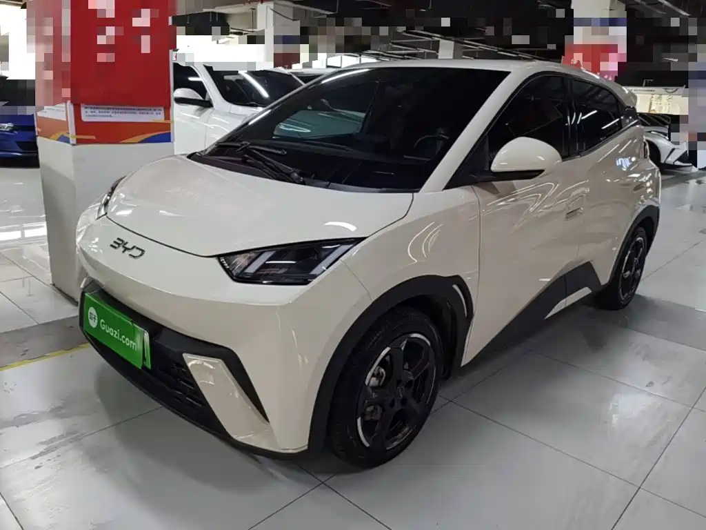 BYD Seagull 2024