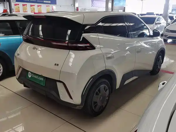 BYD Seagull 2024