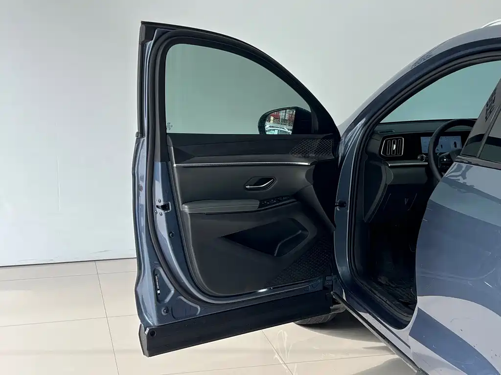 BYD Song Pro New Energy 2025 — фото 13