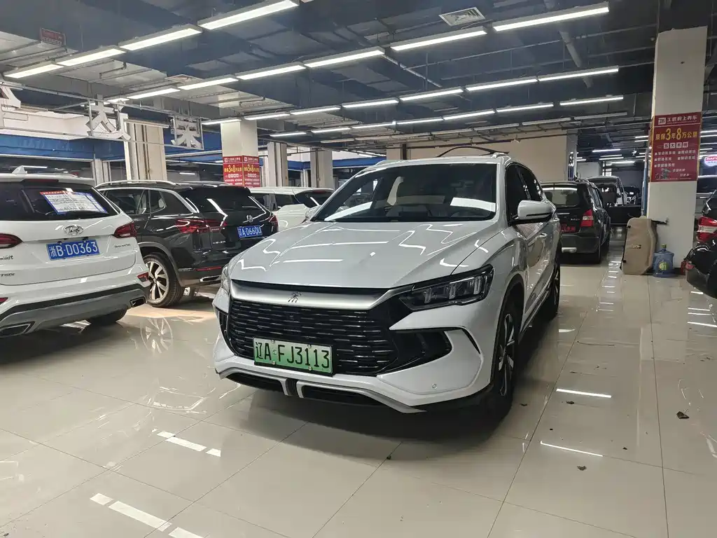 BYD Song Pro New Energy 2025 — фото 2