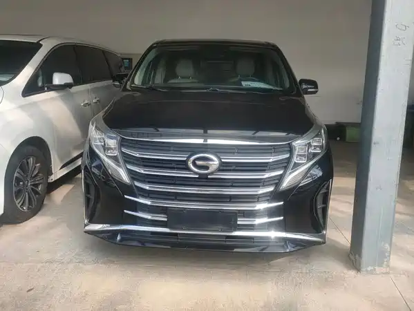 GAC Trumpchi M8 2021