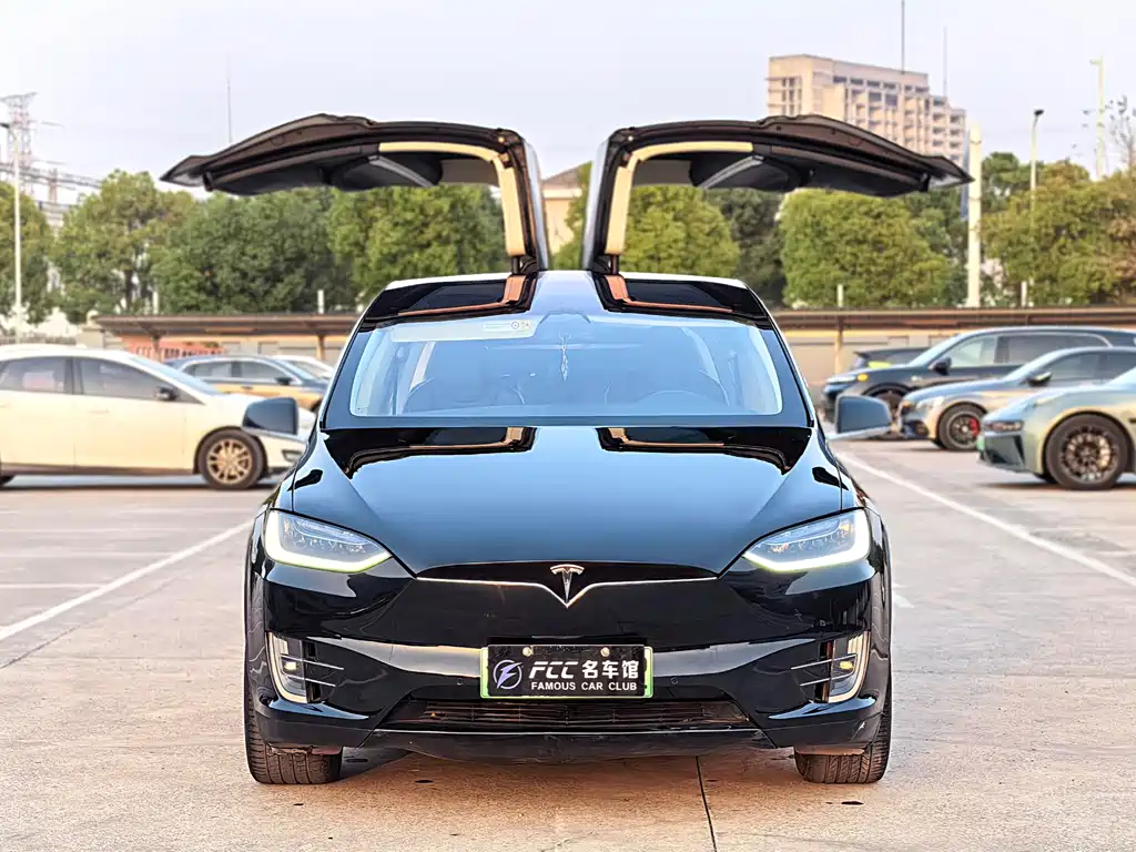 Tesla Model X 2018 — фото 2
