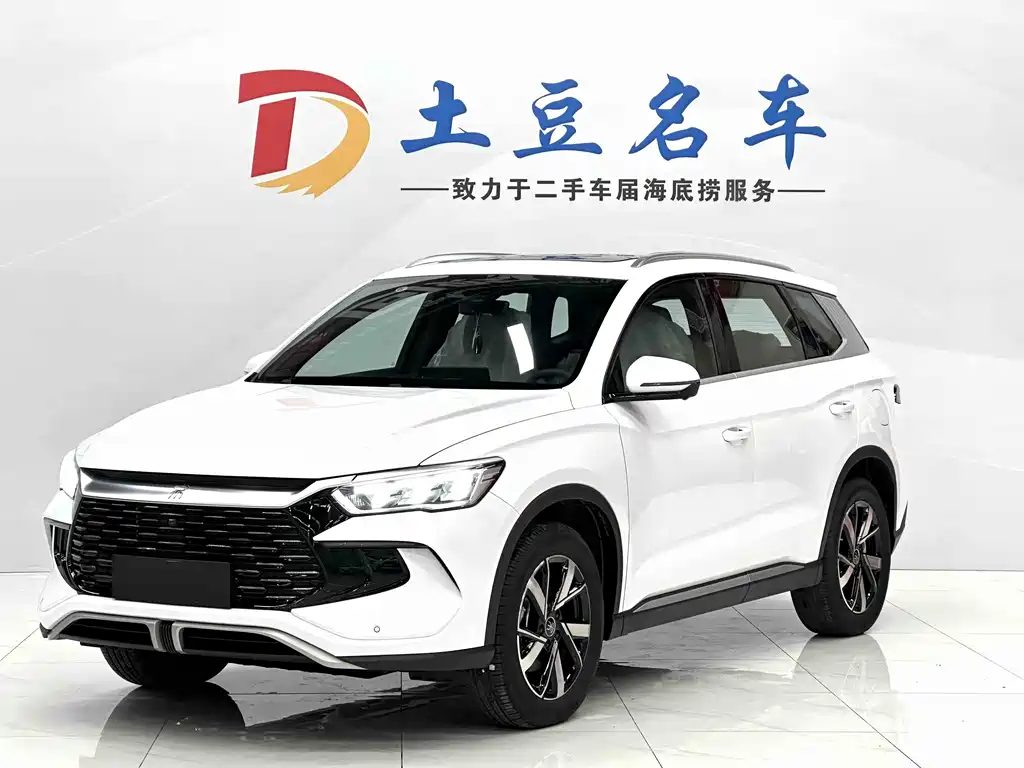 BYD Pro New Energy 2025