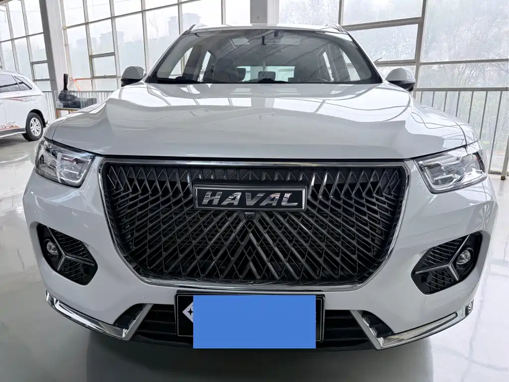 Haval H6 2021 — фото 2