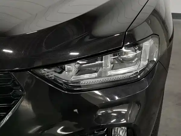 Wey VV5 2019
