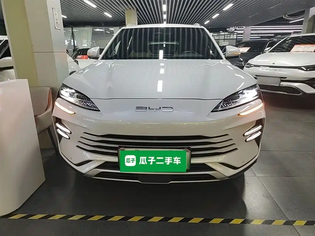 BYD PLUS New Energy 2025 — фото 3