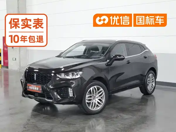 Wey VV5 2019