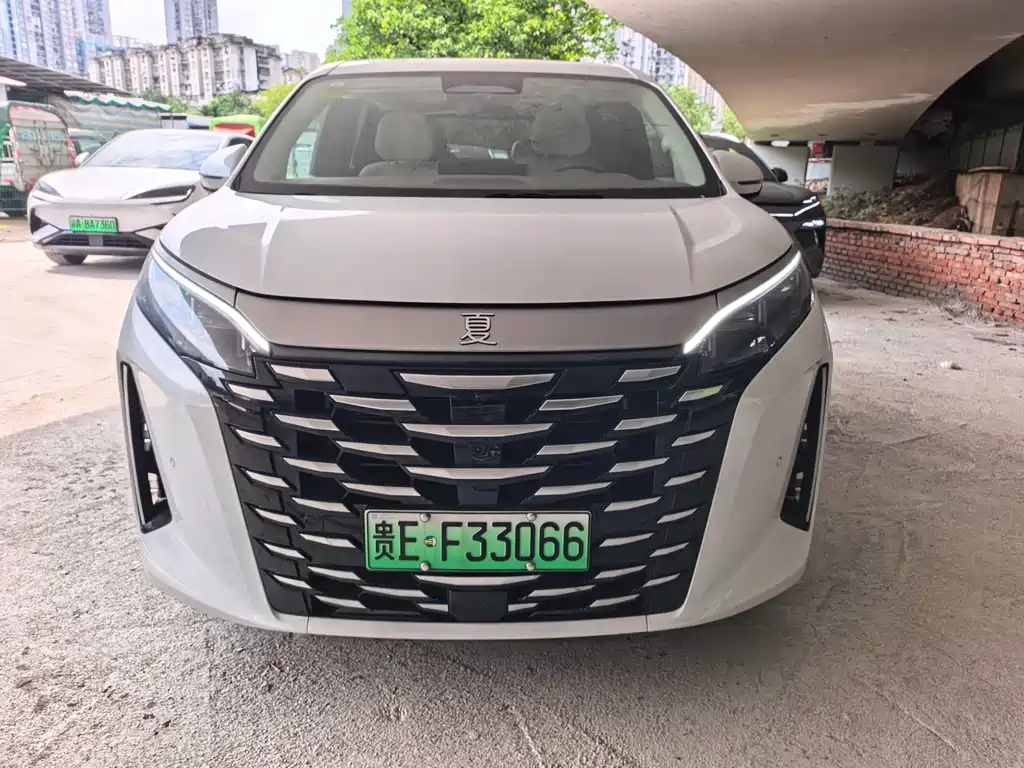 BYD Xia 2025