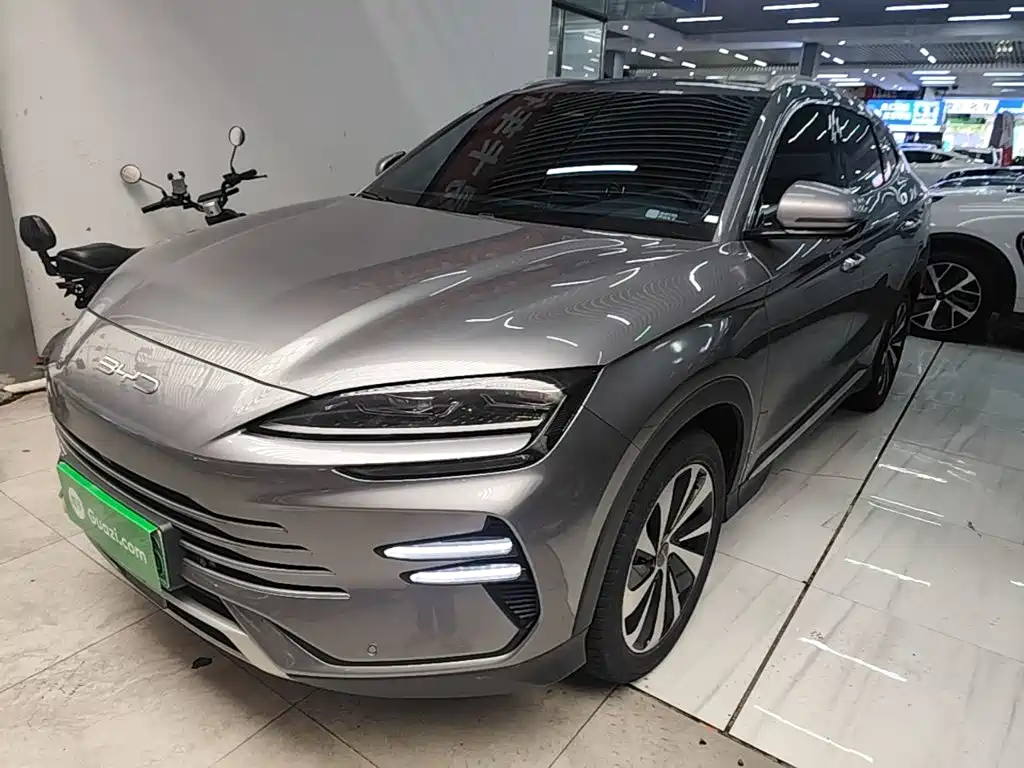 BYD Song PLUS New Energy 2024 — фото 2