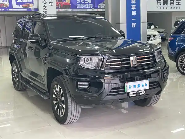 Tank 700 New Energy 2024