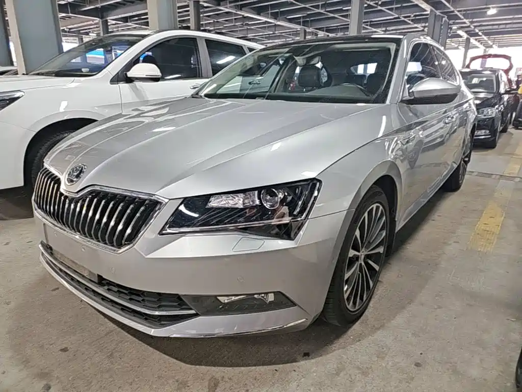 Skoda Speedy 2018