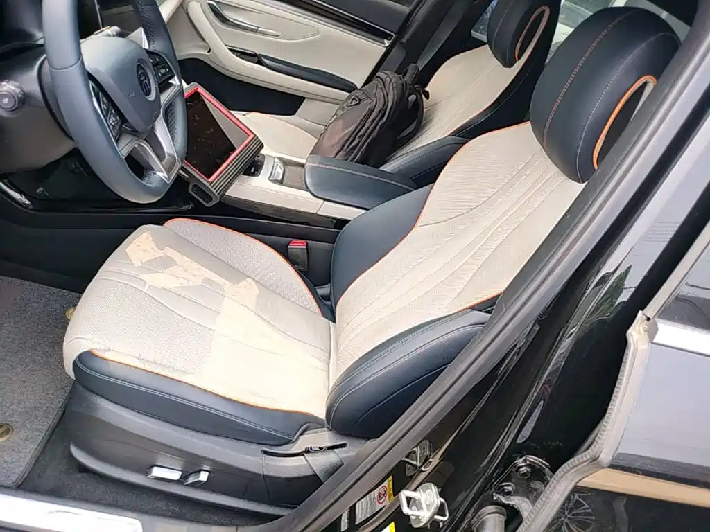 BYD PLUS New Energy 2023 — фото 15