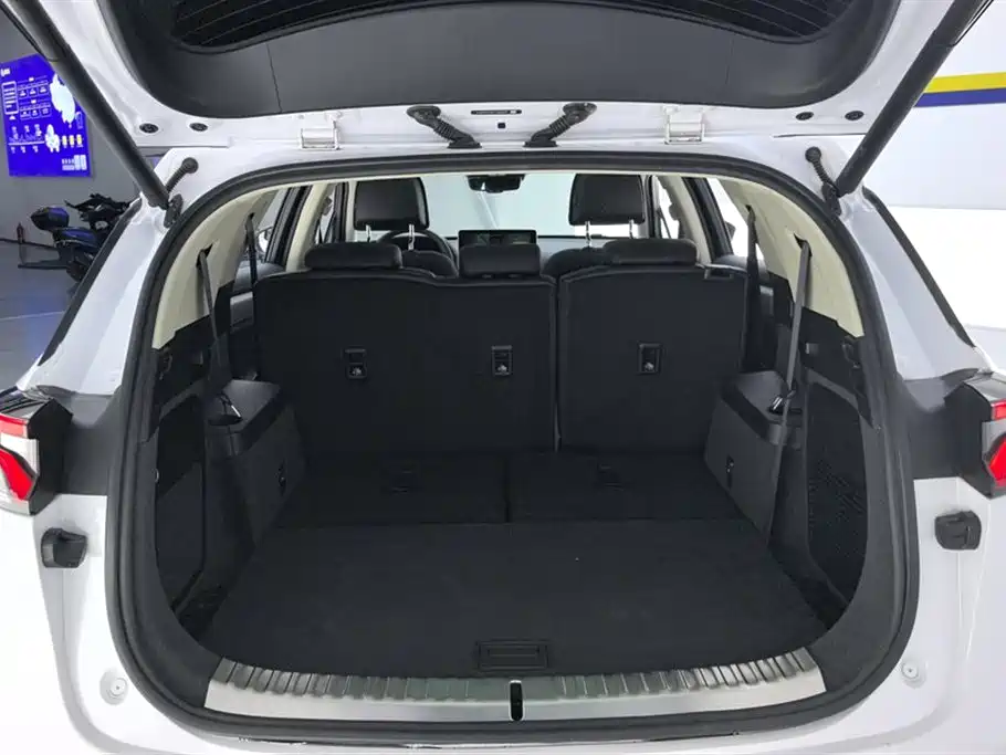 BYD Tang New Energy 2019