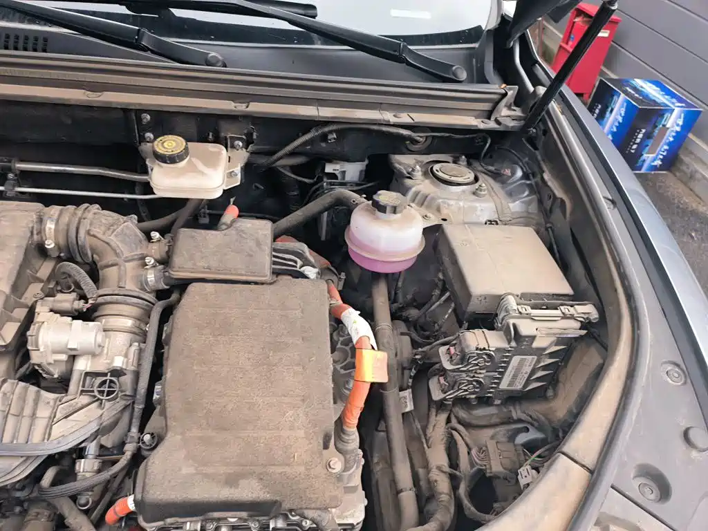BYD Song Pro New Energy 2024 — фото 21