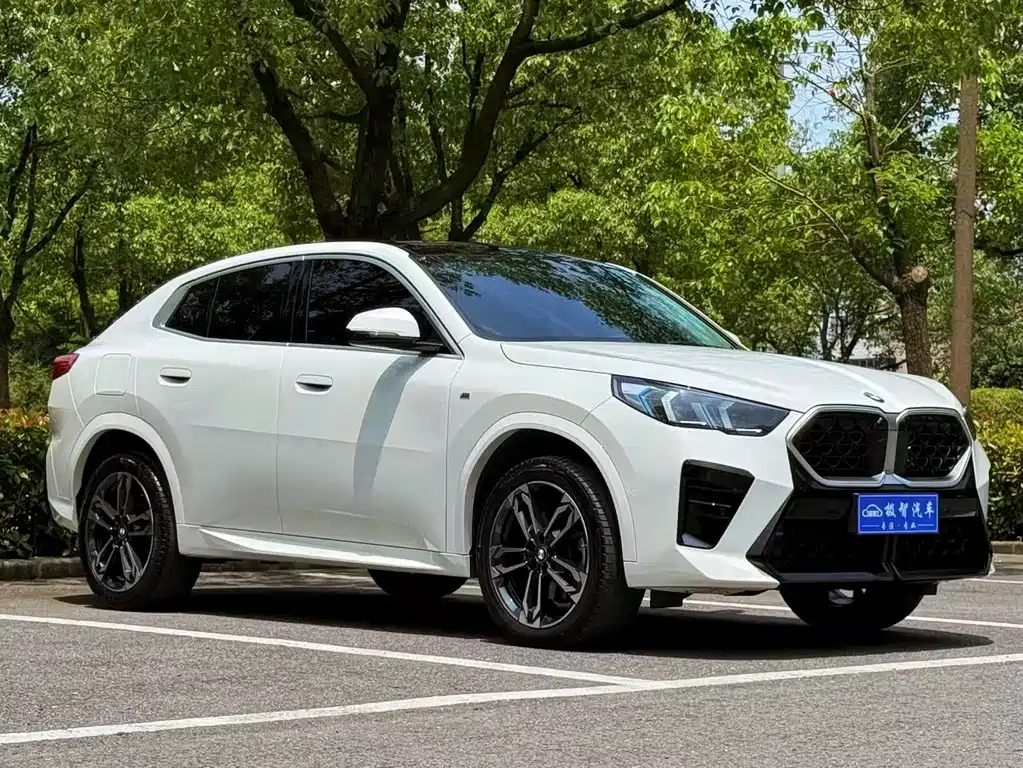 BMW X2 2024 — фото 3