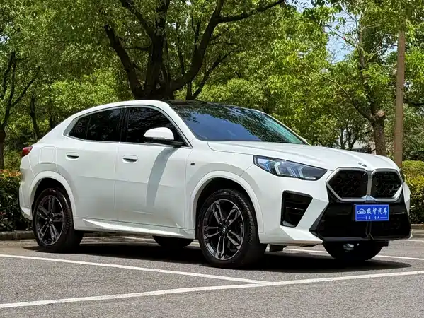 BMW X2 2024