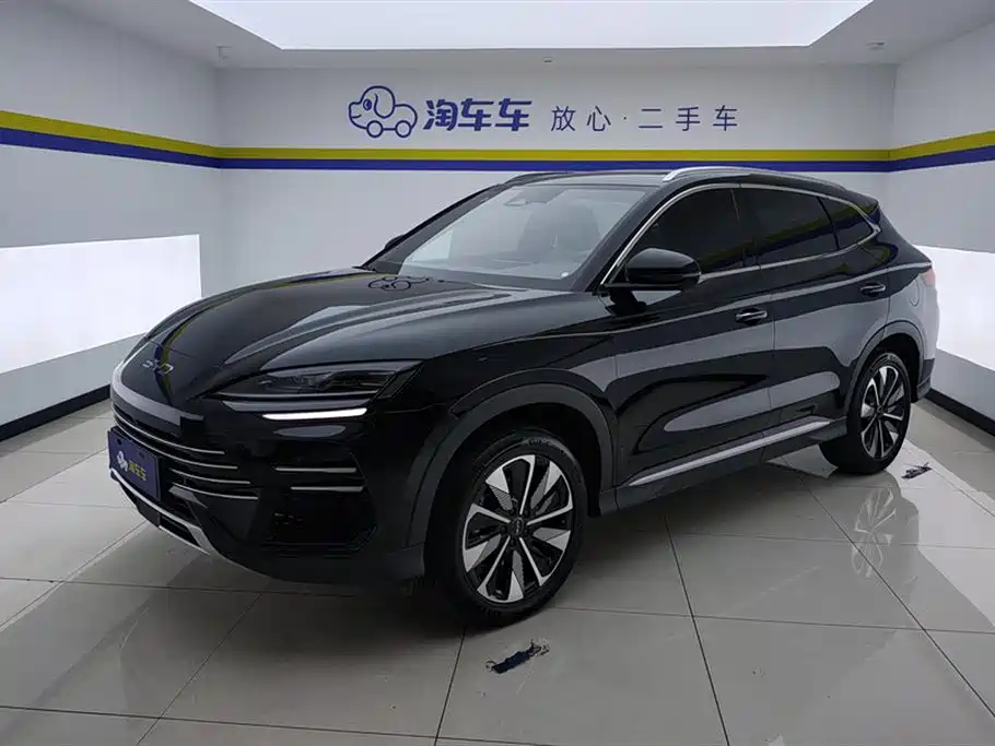 BYD PLUS New Energy 2025 — фото 1
