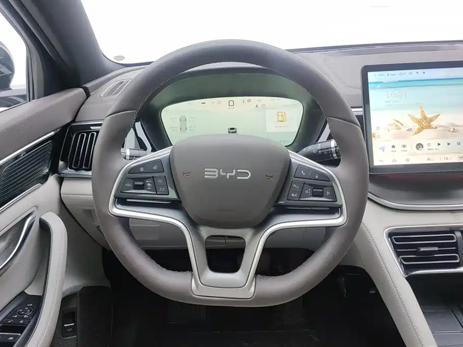 BYD PLUS New Energy 2025 — фото 15
