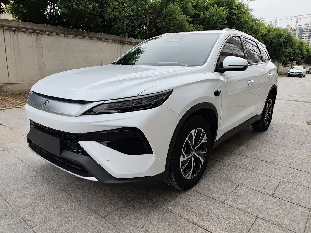 BYD Pro New Energy 2025 — фото 1