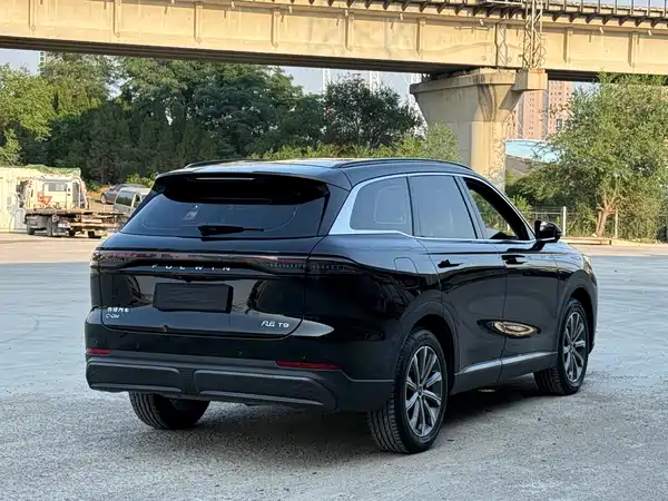 Chery Fengyun T9 2024
