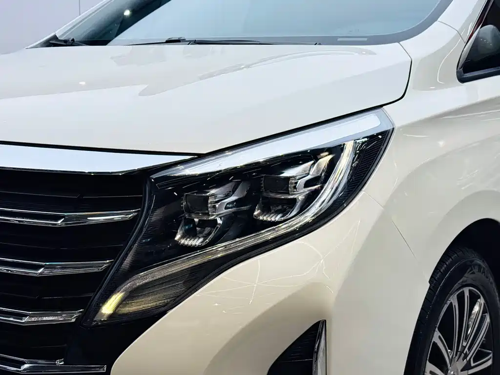 GAC Motor Trumpchi M8 2021 — фото 25