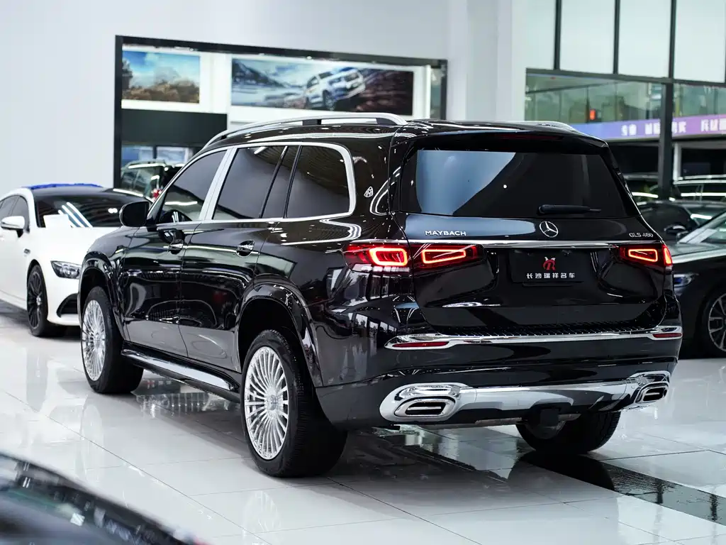 Mercedes-Benz GLS 2022 — фото 19