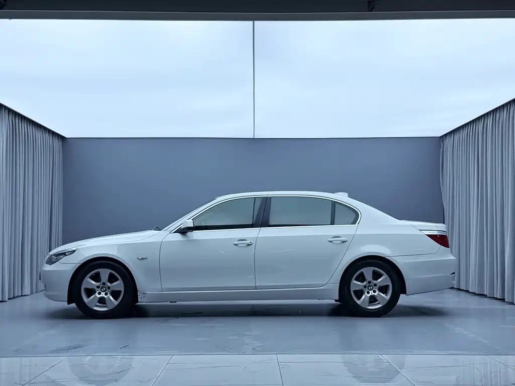 BMW 5 Series 2010